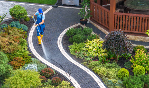 Best Deck Cleaning Services  in Olivehurst, CA