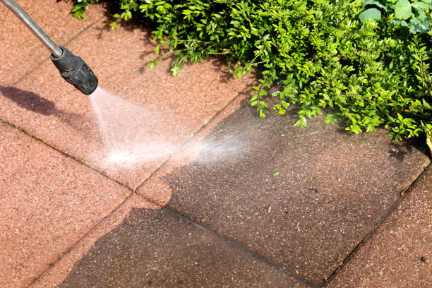 Professional Pressure Washing in Olivehurst, CA